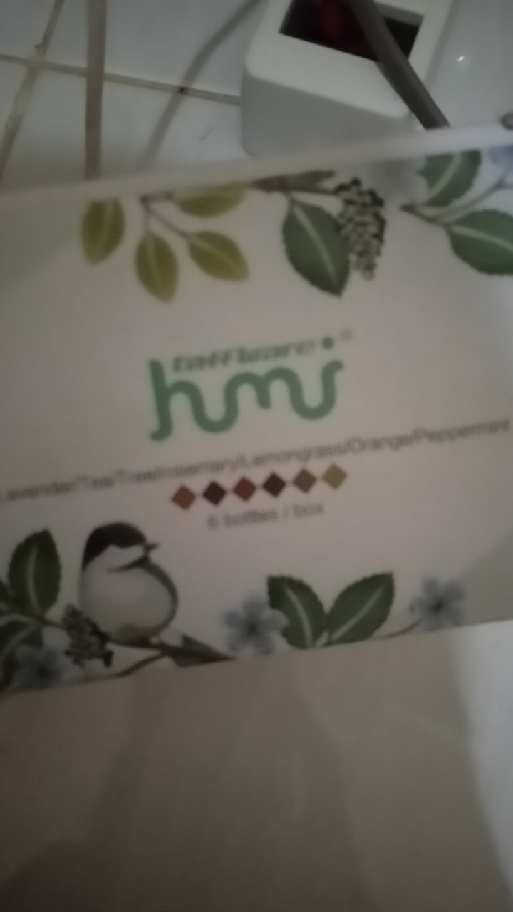 Minyak Aromatherapy Diffusers 10ml 6 Pcs