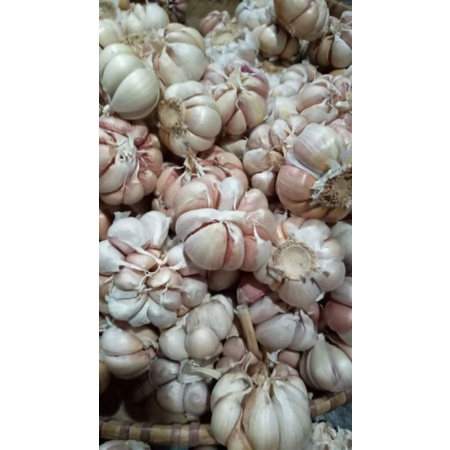 

Bawang putih(250gr)