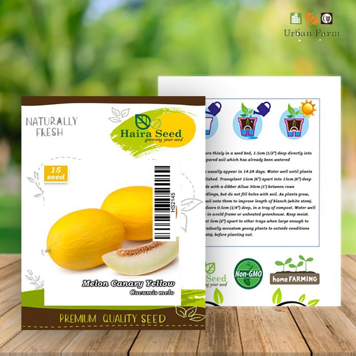 Benih-Bibit Melon Kuning Canary Yellow (Haira Seed)