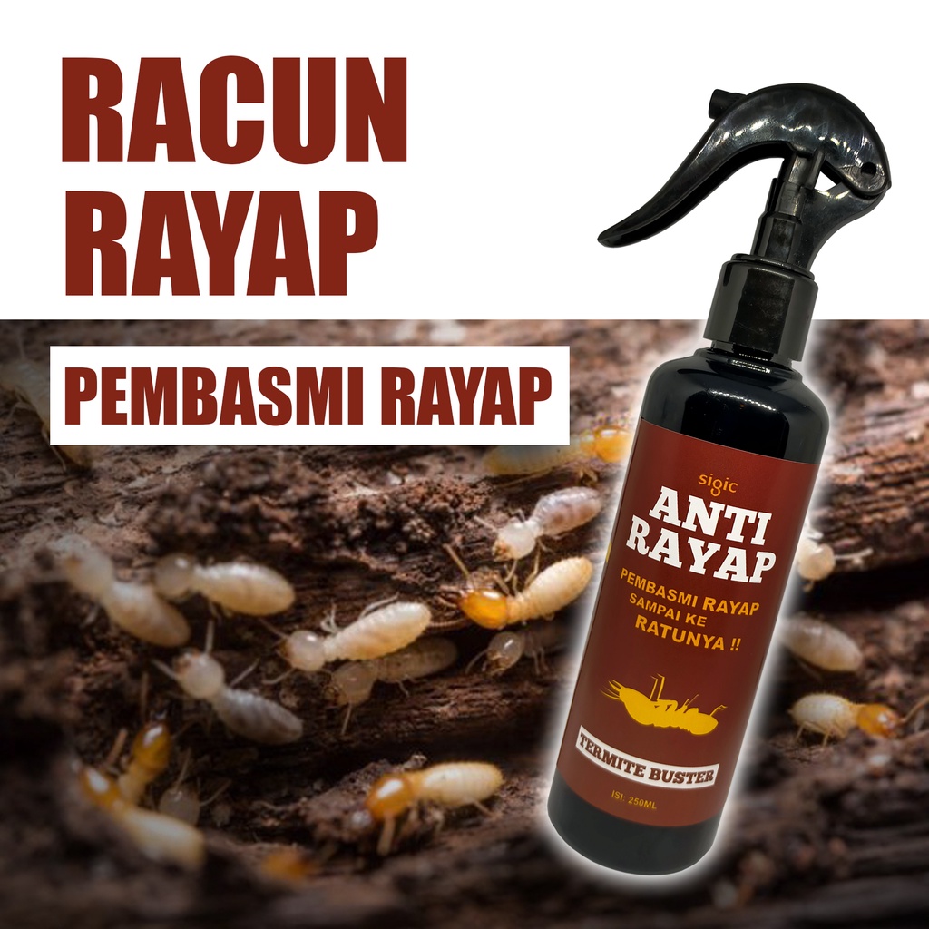 Racun Rayap - Obat Rayap