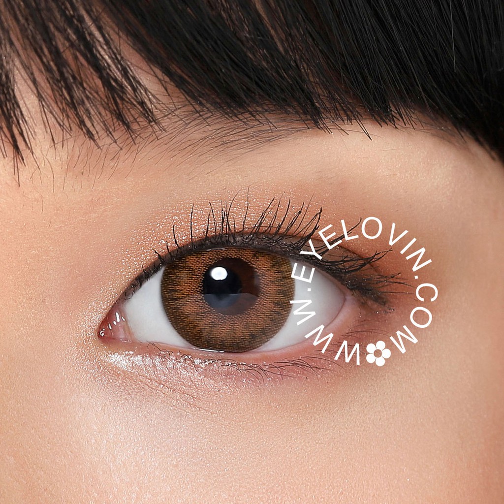 EYELOVIN Softlens Kitty Kawaii - Mini Harmony Brown