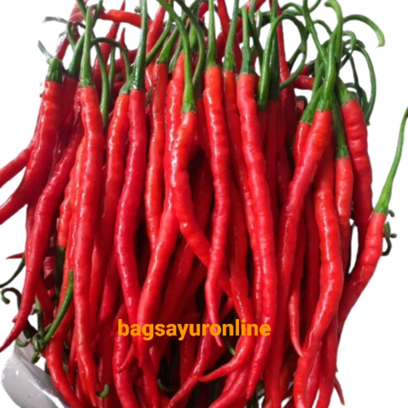 

Cabe Merah Keriting 250gr