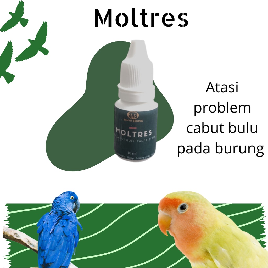 Vitamin Burung Cabut Bulu , penumbuh bulu burung, tuntas cabut bulu, mempercepat mabung (murai, kena