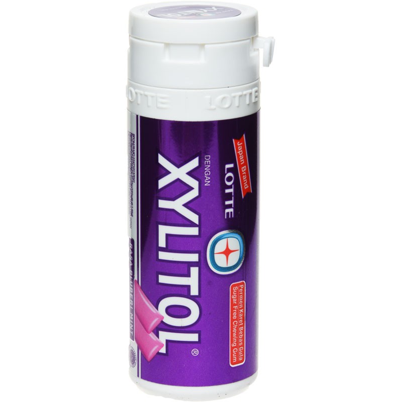 

LOTTE Xylitol Bluberi Mint 26.1 g