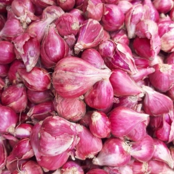 

Big Sale - Bawang Merah Brebes Besar 1 Kg !!