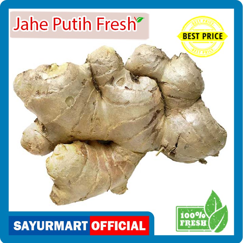 

Jahe Gajah Putih 100gr [0,1 kg]
