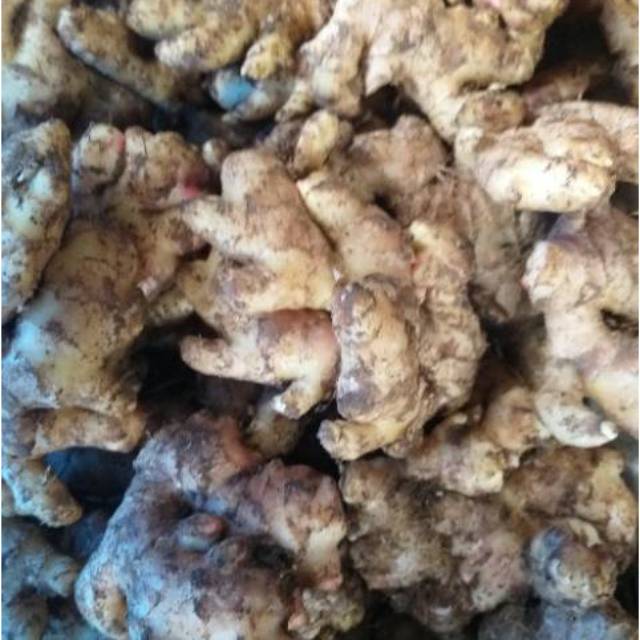 

Jahe Putih Super 250 Gram
