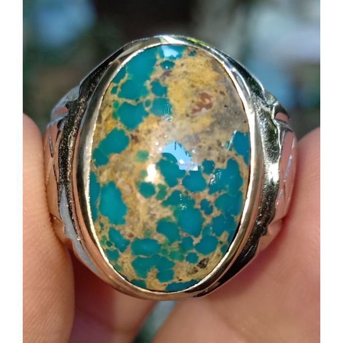 Pirus Persia lawas abdul rozak