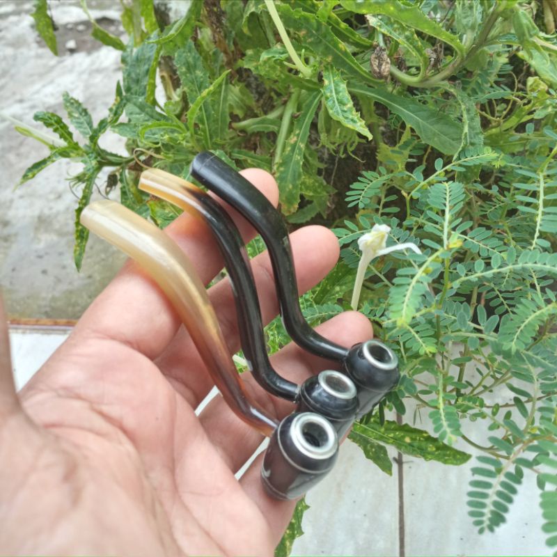 Once Pipa Roko  motif Cangklong Tanduk Kerbau
