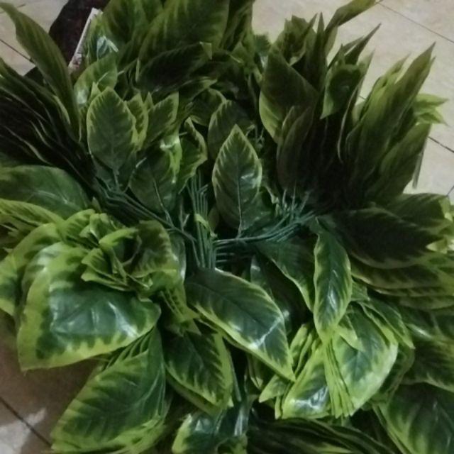 Wanflower Daun Mangga X5 * Hijau Lis Kuning (perlusin)