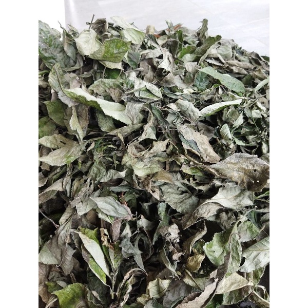 

Daun kjibeling kering 100GRAM