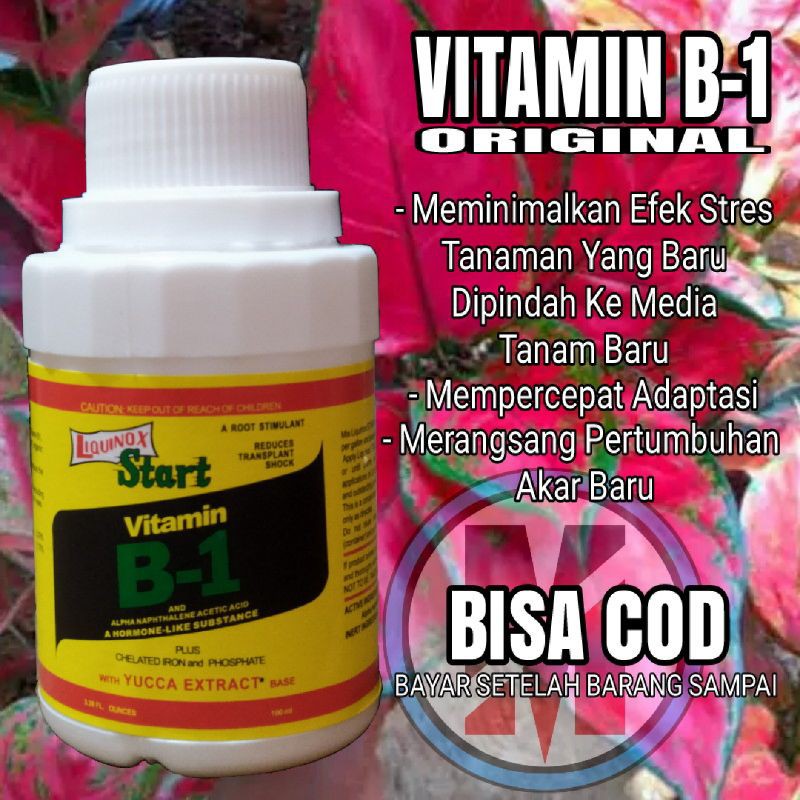 Liquinox Vitamin B1 100 ml anti stress penumbuh akar bibit benih bunga anggrek aglonema ori asli