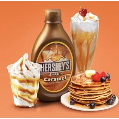 

HERSHEYS INDULGENT CARAMEL SYRUP 623GR - HERSHEY'S MADE IN USA