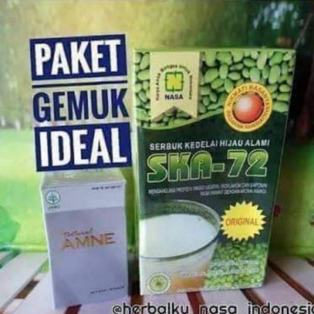 PAKET GEMUK NASA SKAO 72 + AMNE