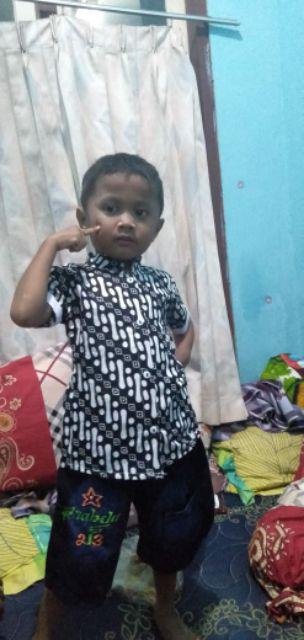 Kemeja Koko Batik Anak