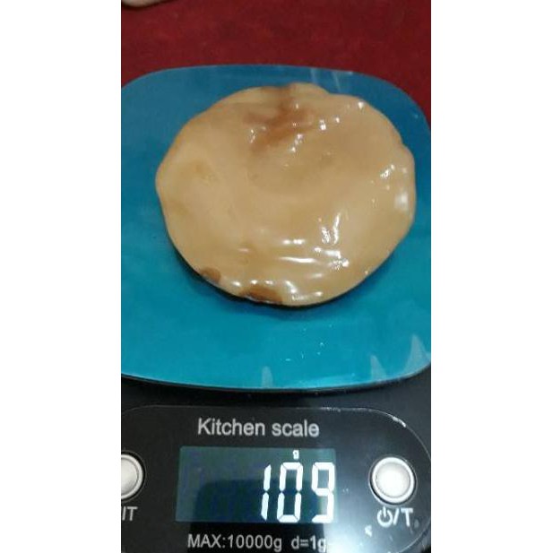 

Terbaru TERMURAH!!! SCOBY ATAU JAMUR DIPO TERMURAH UNTUK MEMBUAT KOMBUCHA