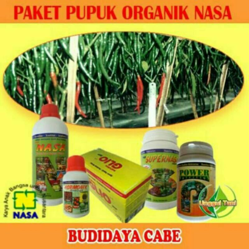 

PAKET BUDIDAYA CABE ORGANIK NASA