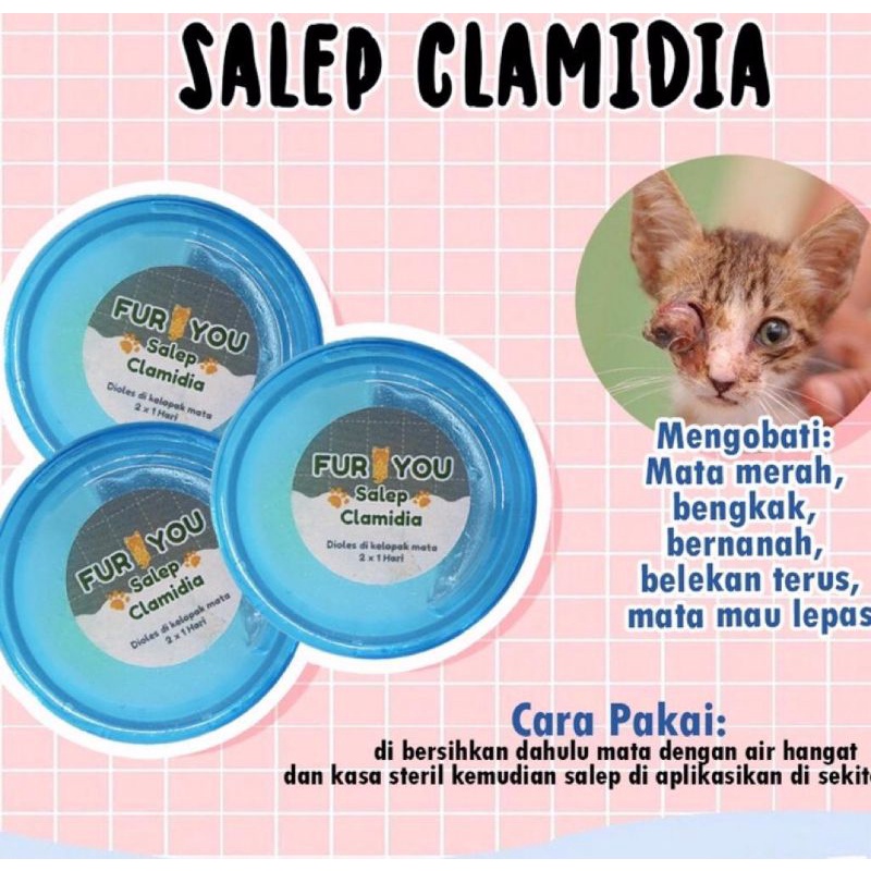 Obat salep clamidia . salep mata kucing clamidia