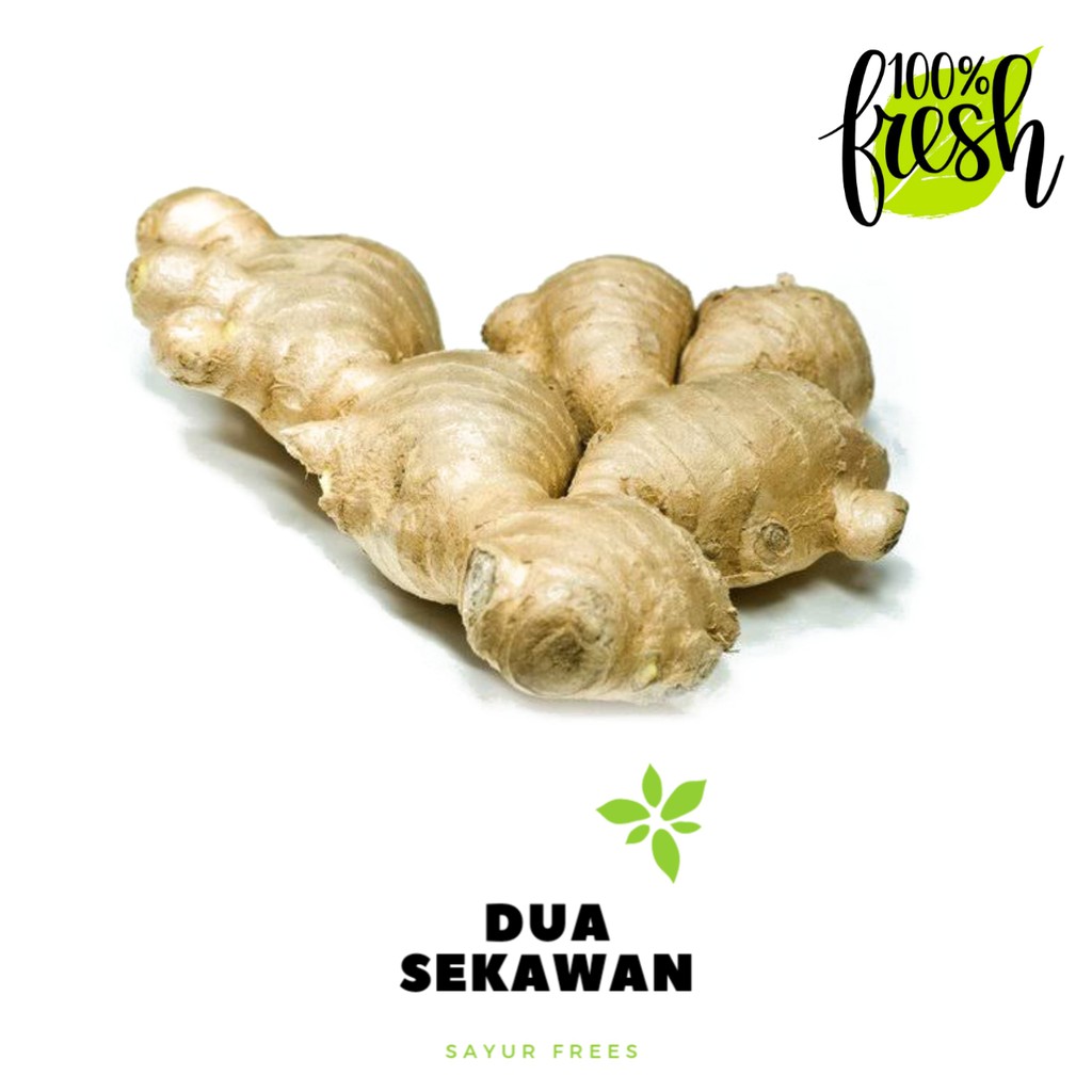 

Dua Sekawan | jahe gajah 250 gr