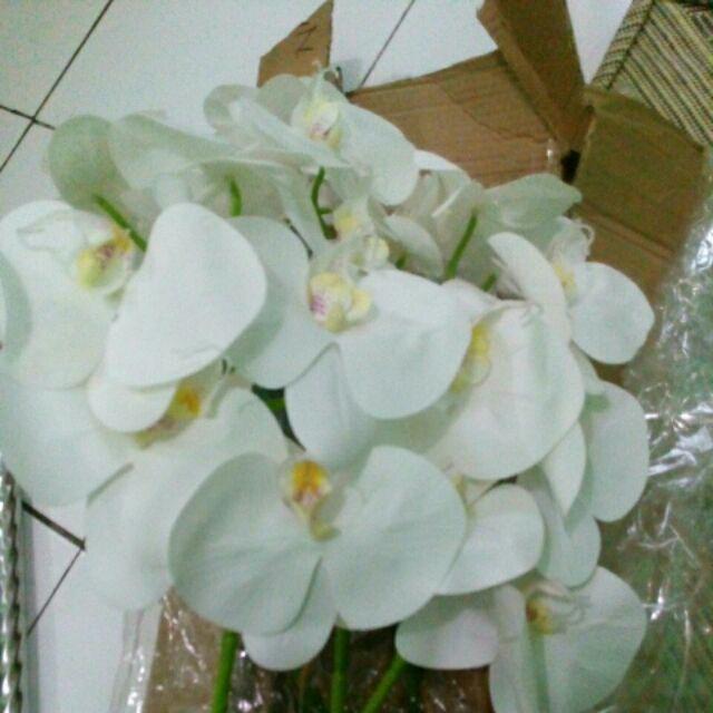 (cod)anggrek Lateks Real Touch