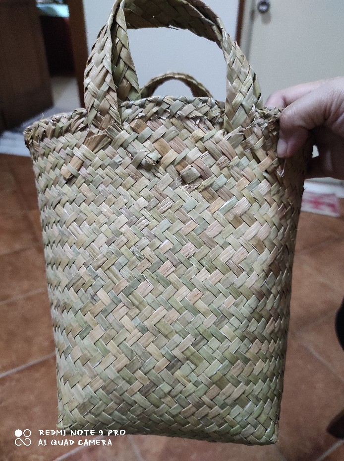 Keranjang Tanaman Ukuran 20 Cm