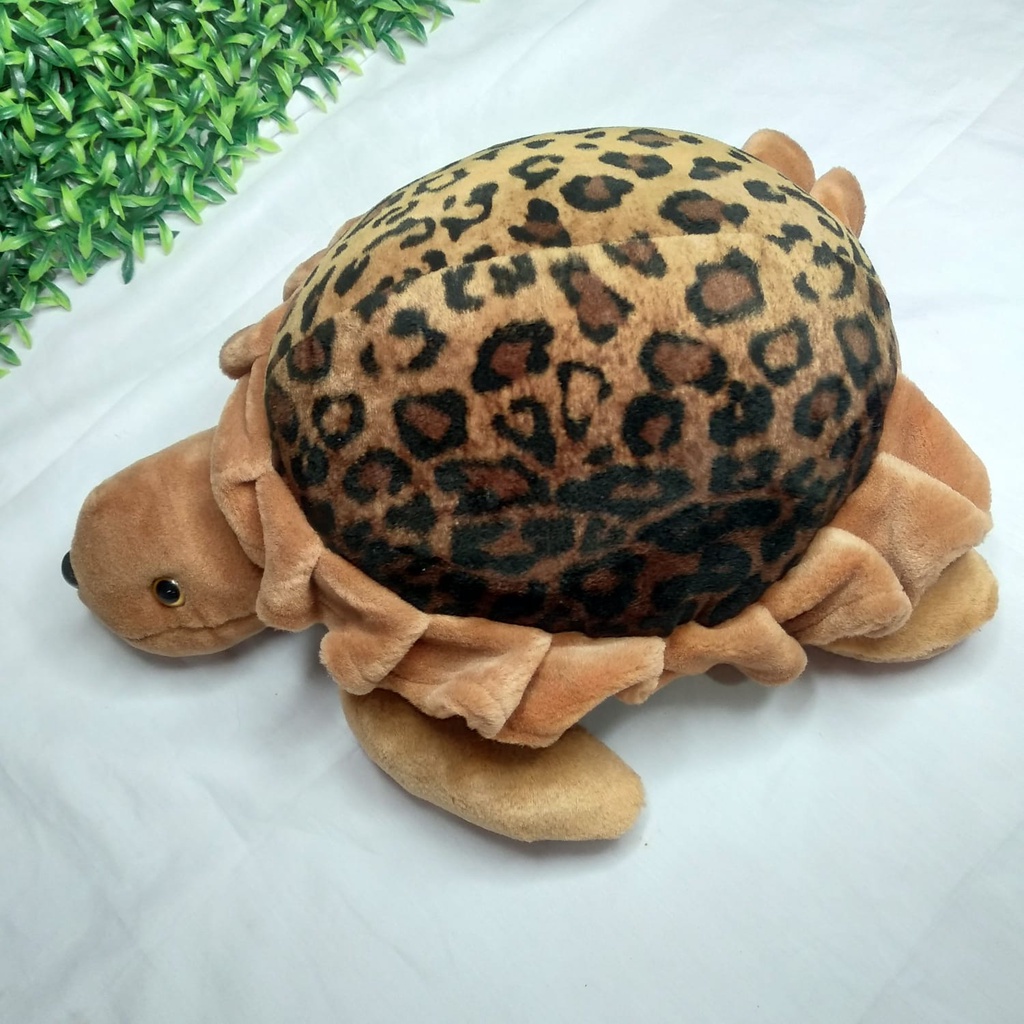 Boneka Jumbo Kura-Kura/Boneka Binatang/Mainan Anak