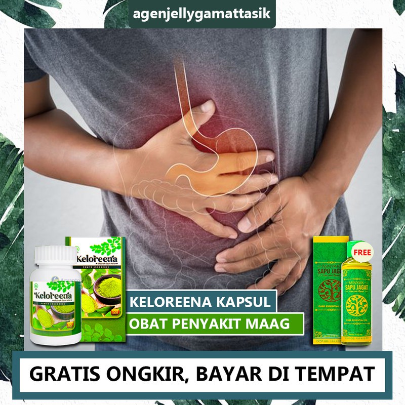 

Obat Maag Asam Lambung, Obat Herbal Maag Kronis, Mah Lambung, Kolesterol KELOREENA Daun Kelor ASLI