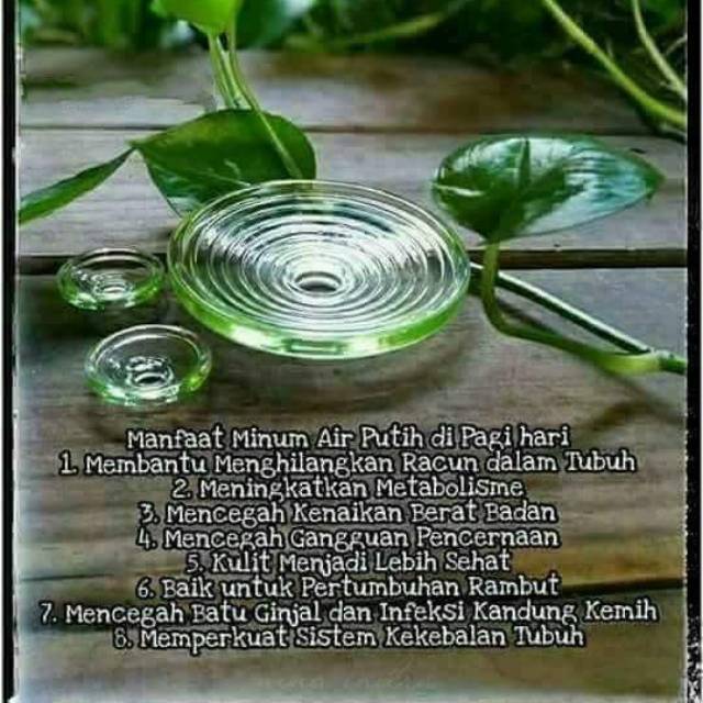 Paket 1bioglass 2+ dan 2 bioglass mini bio glass mci original asli segel