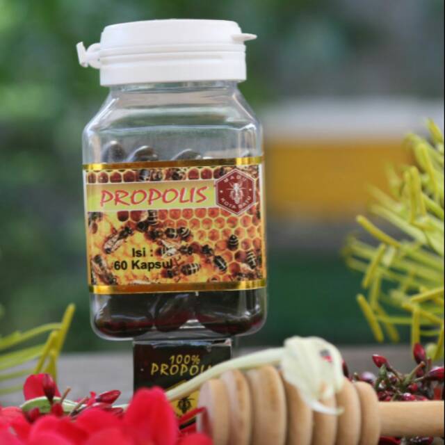 

Propolis Kapsul - Madu Kota Batu - 30 kapsul - Herbal