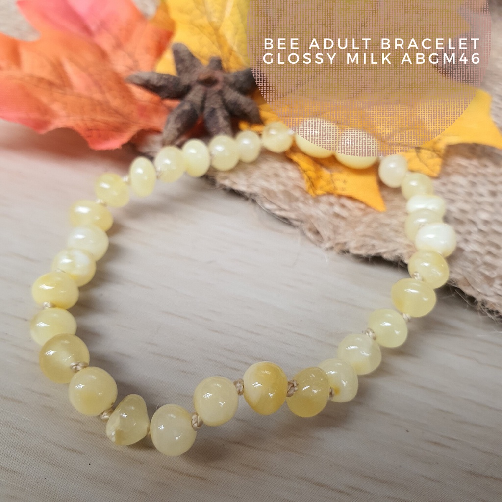 Gelang Amber Baltic Dewasa Premium Glossy Rainbow Stretchy BGR106 By Amber Bee