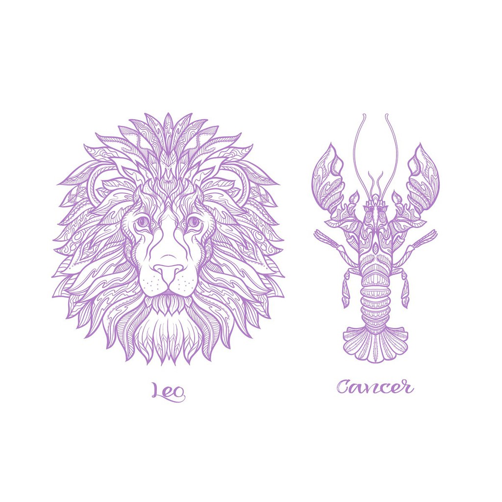 Zodiac Elements - Colored &amp; Outline - Vector Designs