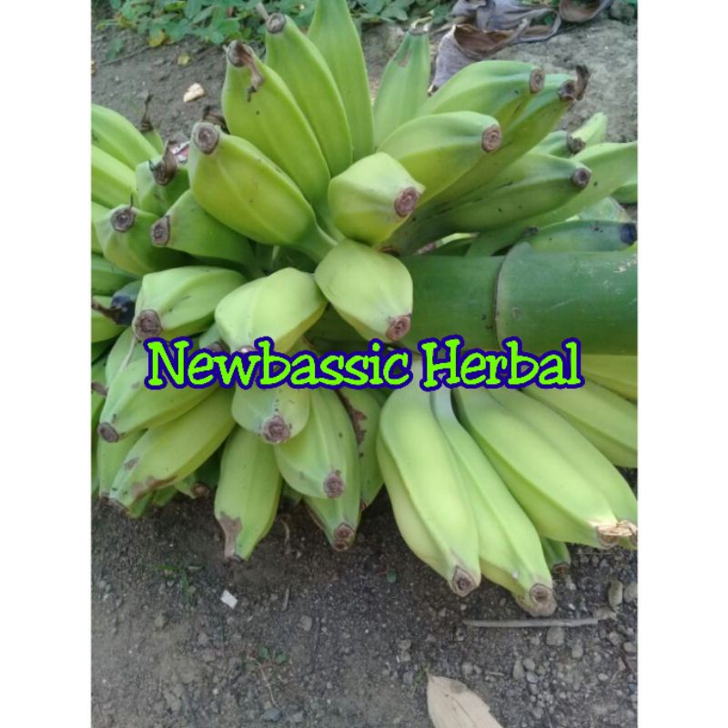 

paket hemat 10kg pisang batu muda pisang klutuk