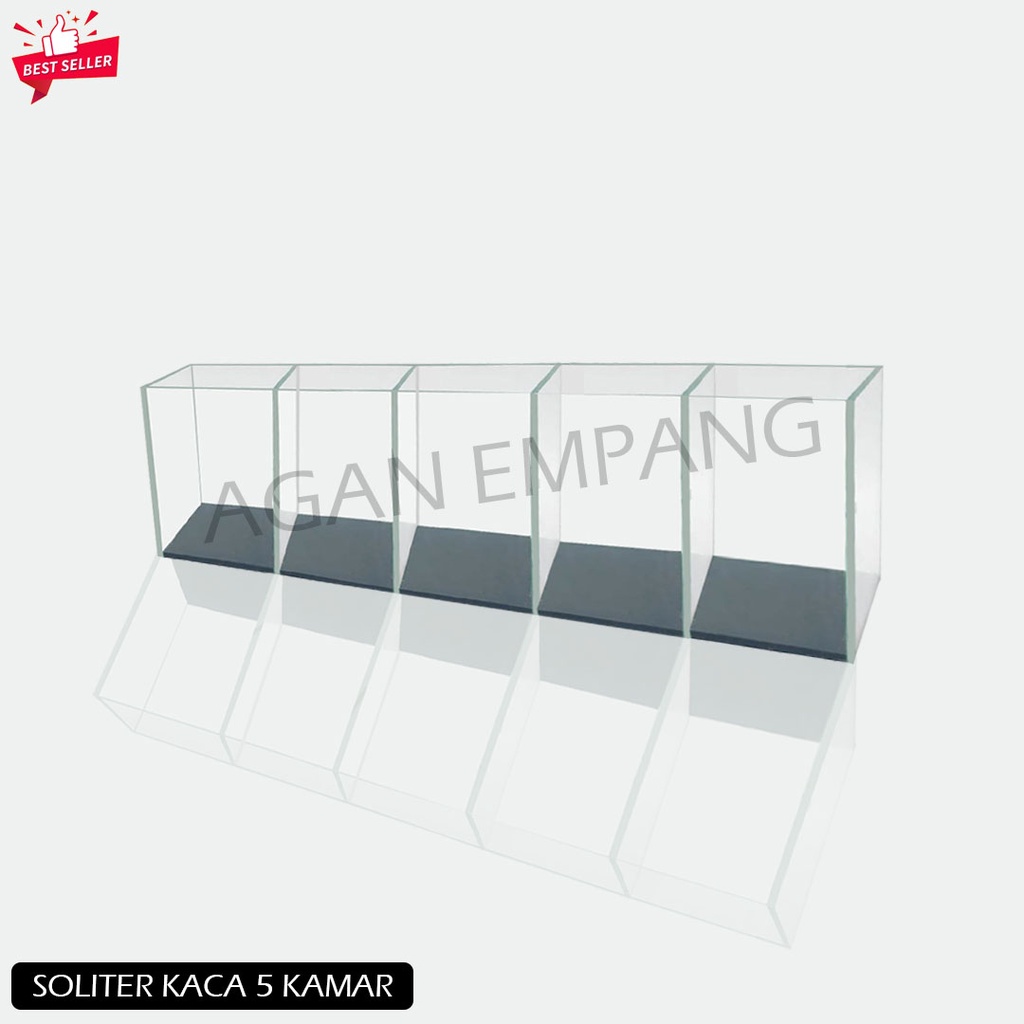 SOLITER CUPANG 5 KAMAR AQUARIUM CUPANG 5 SEKAT / AKUARIUM MINI IKAN HIAS