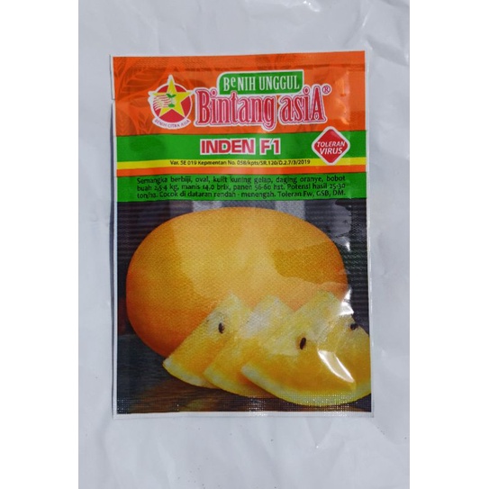 semangka kuning inden f1