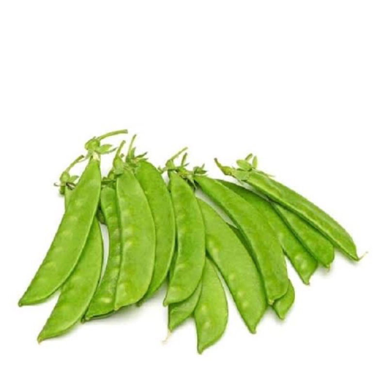 

Sayur Kacang Kapri / Kacang Arcis 250 gram Fresh