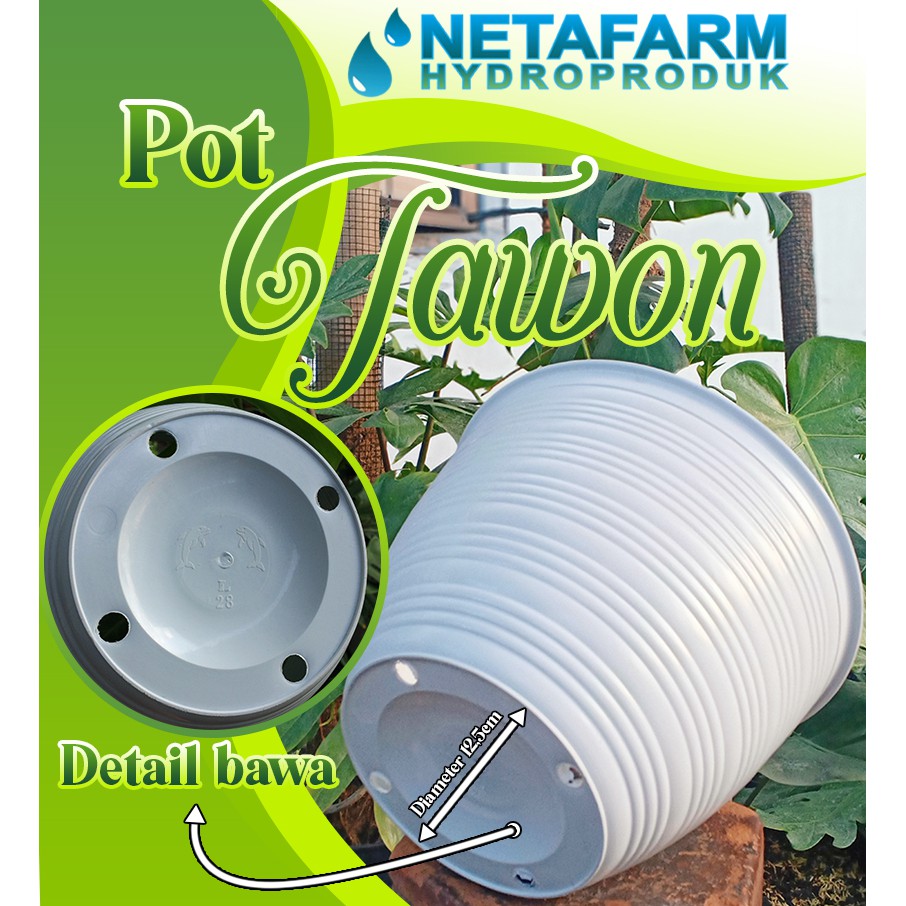 POT BUNGA / Tanaman Hias - POT Tawon Putih no 28