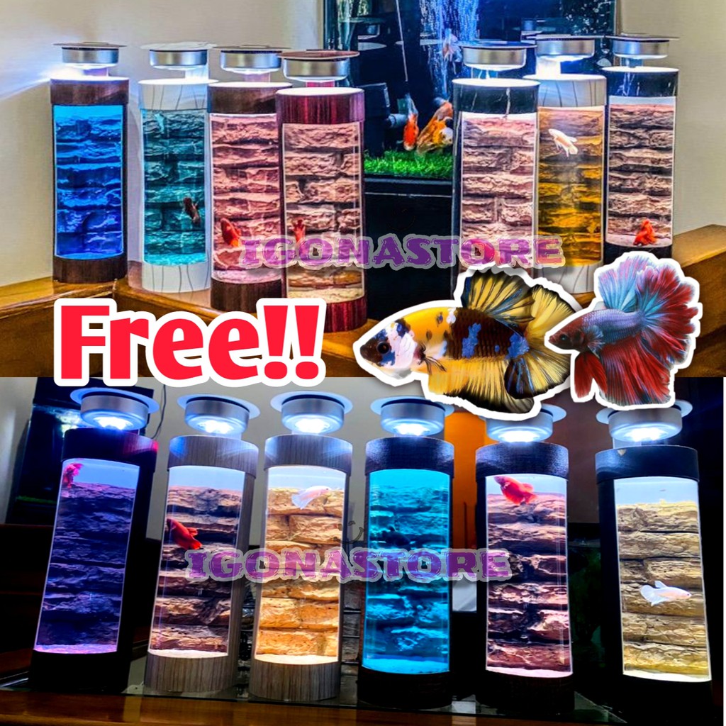 AQUARIUM CUPANG HIAS DEKORASI AESTHETIC Aquarium Mini Tempat ikan cupang wadah cupang  FREE BONUS
