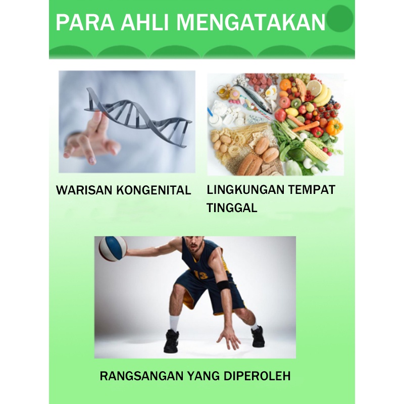 Minyak esensial pijat Oil Pertumbuhan Tinggi Pijat Perawatan Kaki Peningkatan Pertumbuhan Tulang Peninggi Badan 15ml x2 perkembangan kaki sekunder