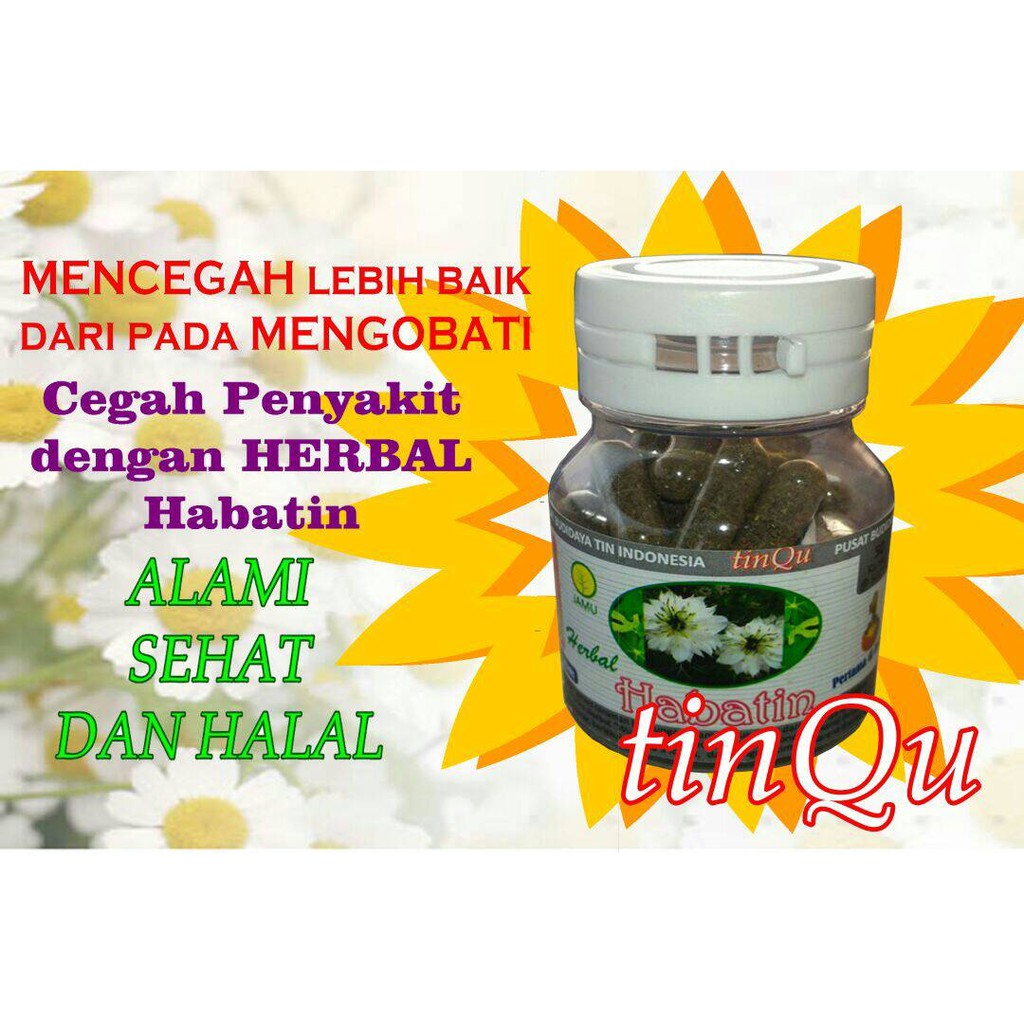 

Habbatin (Habbatusaauda + Daun Tin)