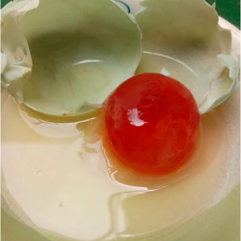 Telur asin mentah 1 pack merah murah grade A