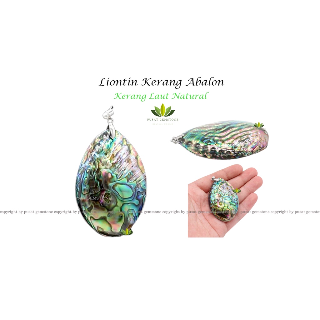 Liontin Kerang Abalon  Kerang  Laut Natural