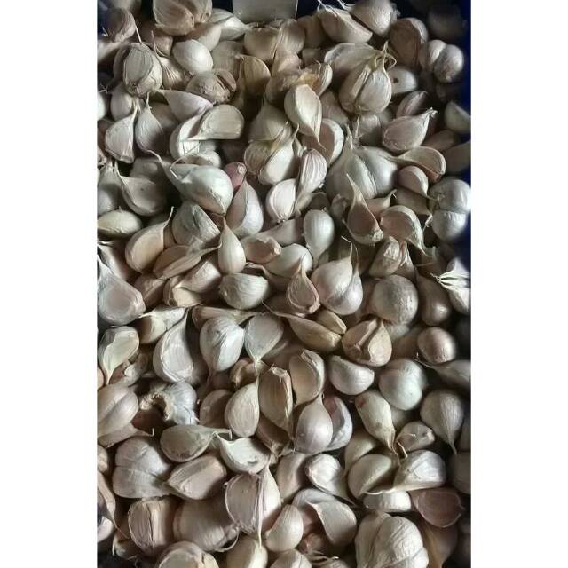 

Bawang putih cutting