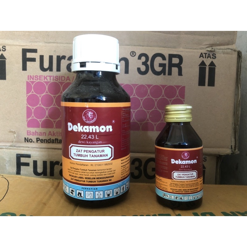 Dekamon Zat pengatur Tumbuh