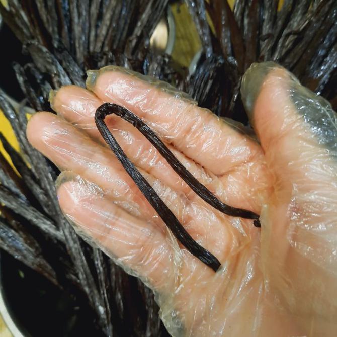 

Vanilla Bean / Vanila Batang /Vanili Kering Grade A Gourmet Planifolia