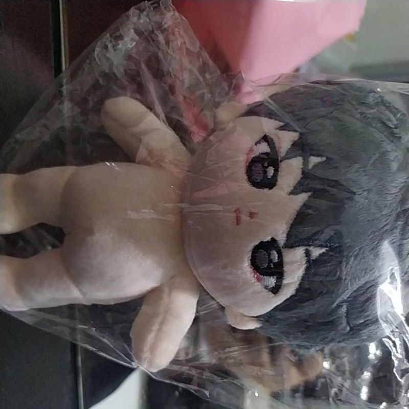 Woojang woojjang 15 cm seventeen doll