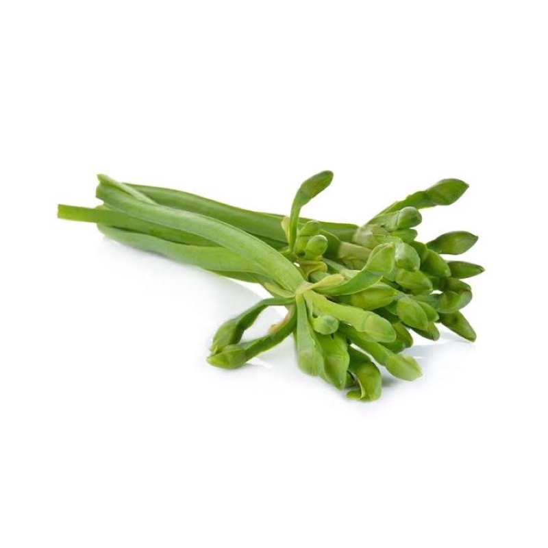 

SayurHD Sayur Genjer 1 Ikat