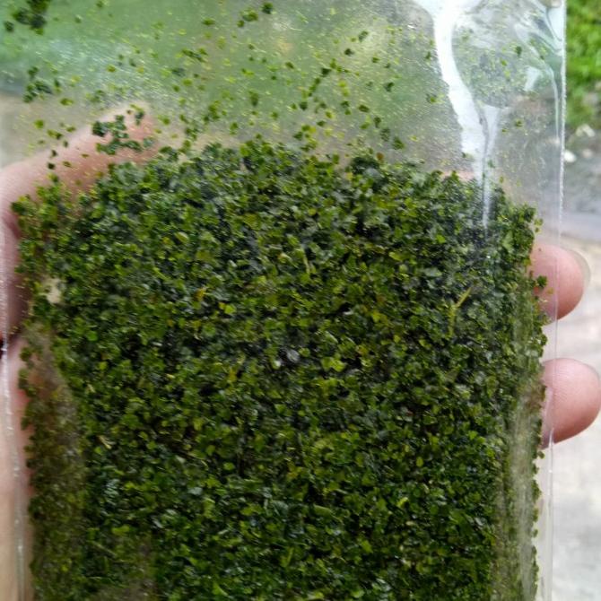 

daun jeruk asli 50 gr siap pakai untuk cabe bubuk,aneka snack,dll