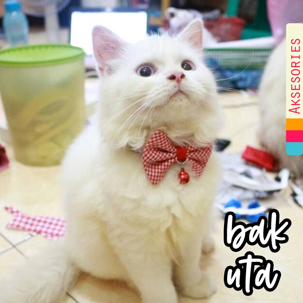 Dasi kupu-kupu kotak-kotak motif kecil untuk kucing / dasi lucu bowtie kucing size adult kitten