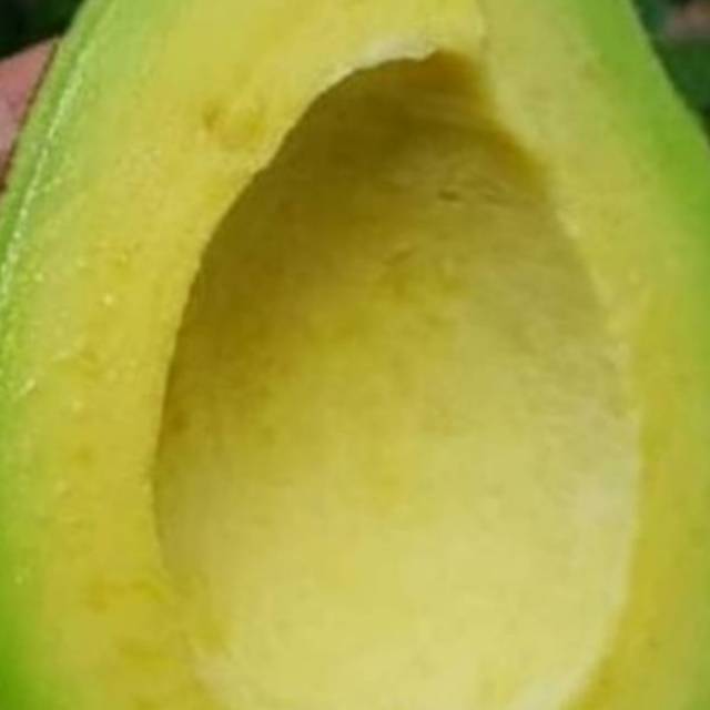 

Alpukat mentega