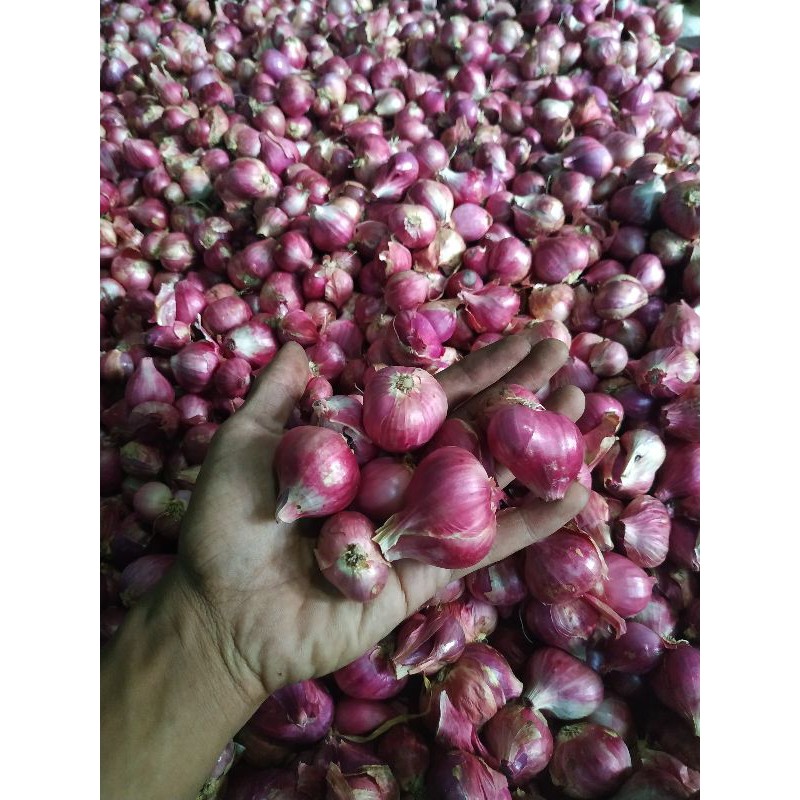 BAWANG MERAH JAWA SUPER (1kg)